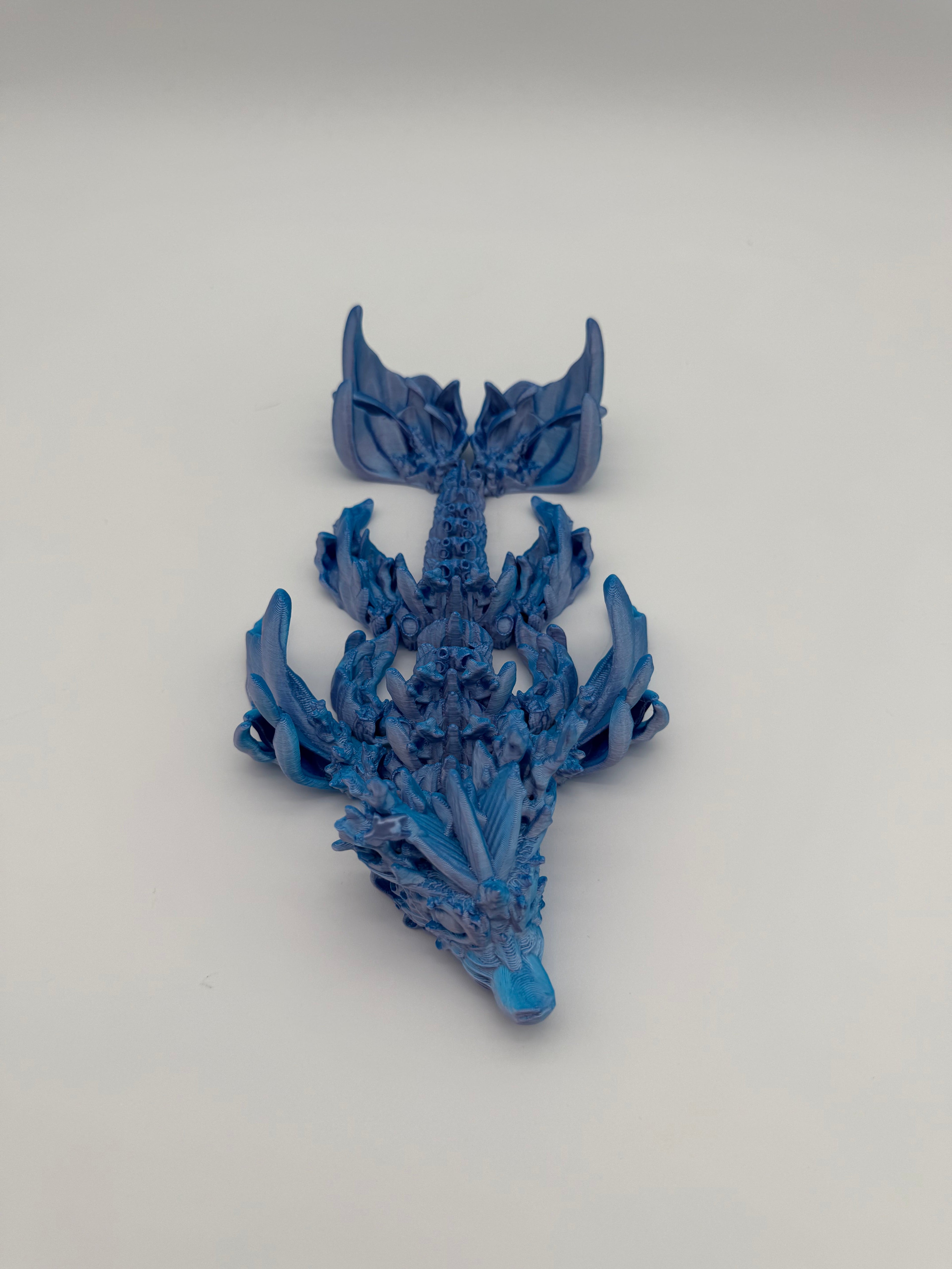 Coral Dragon