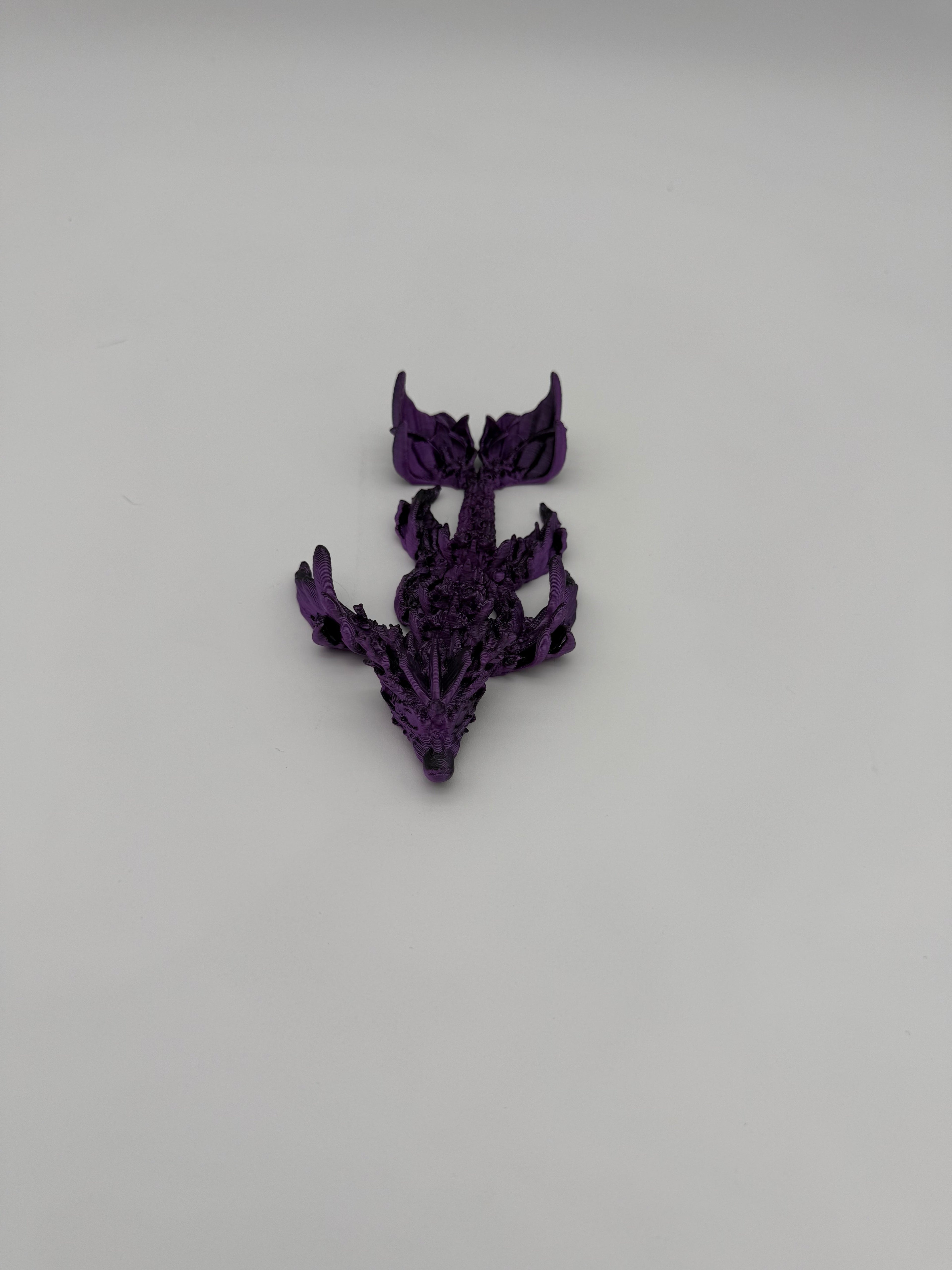 Coral Dragon
