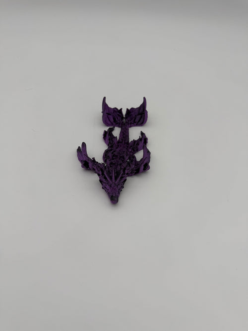 Coral Dragon