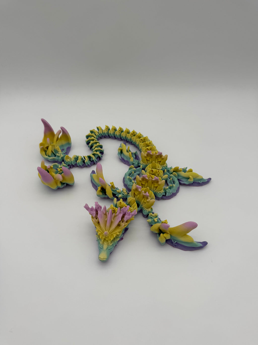 Coral Dragon