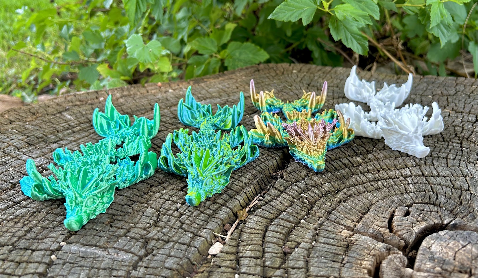 Coral Reef Dragon