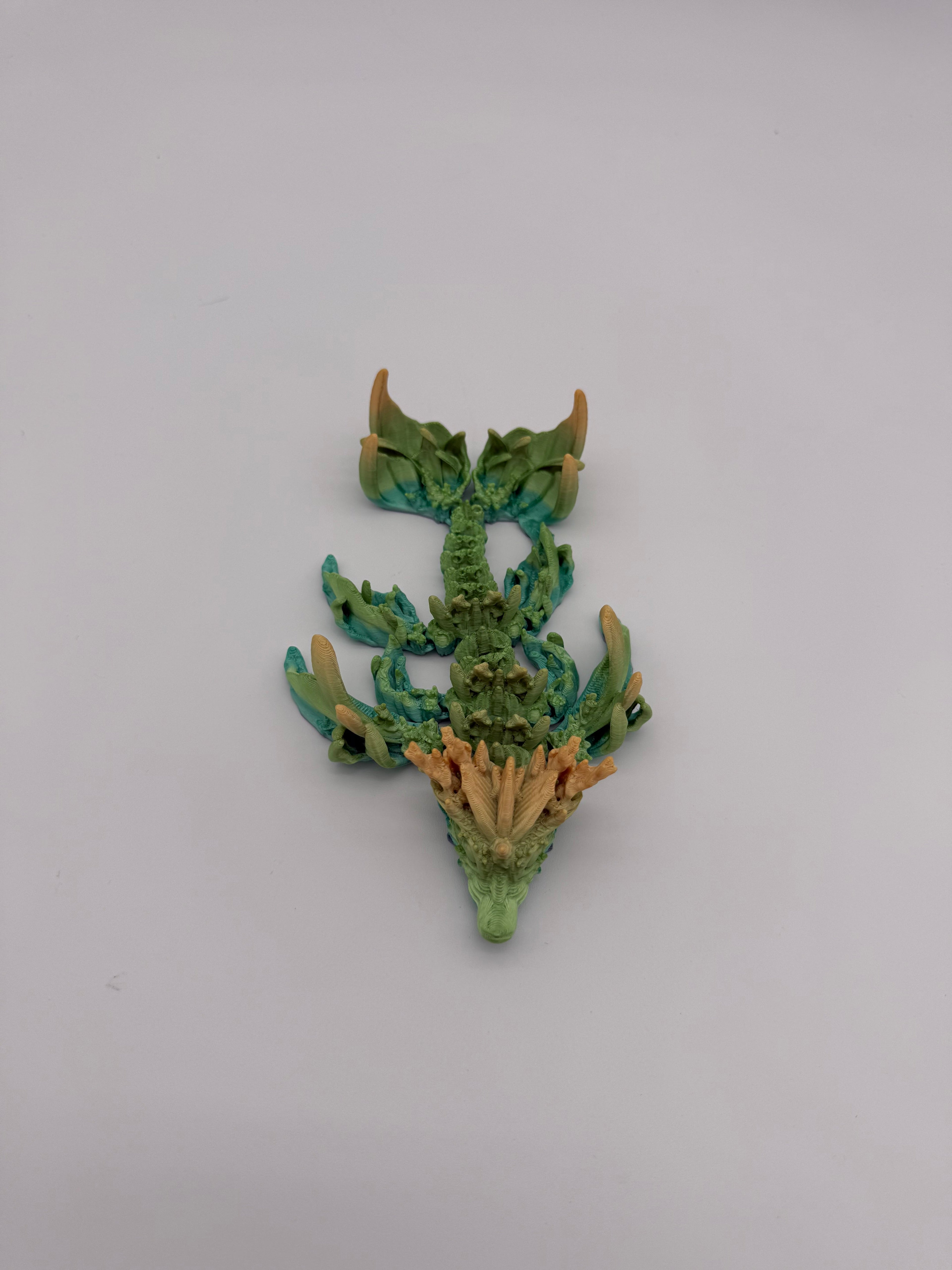 Coral Dragon